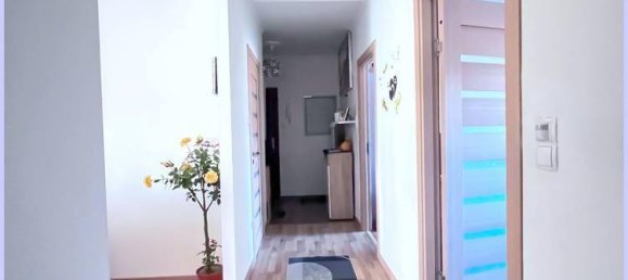 2 bedrooms Apartment in Feldbach, Austria No. 139342 2