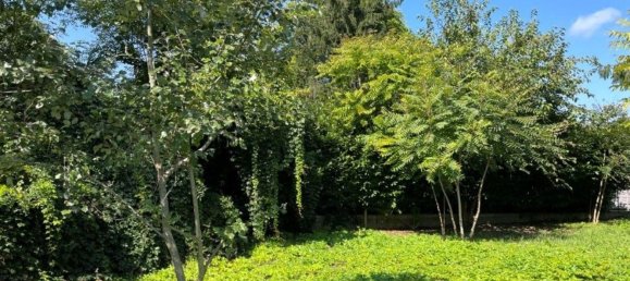 9 bedrooms House in Castelnuovo Belbo, Italy No. 364022 33