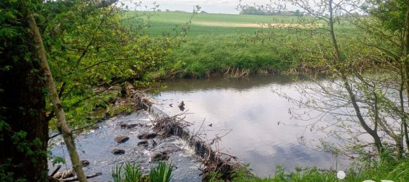 Casa de 4 dormitorios en Manou, France No. 221365 20