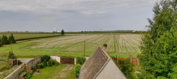 5 bedrooms Townhouse in Saalekreis, Germany No. 286092 3