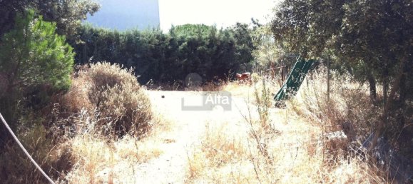 Земельный участок 1038м² в Навас-дель-Рей, Испания № 99865 7