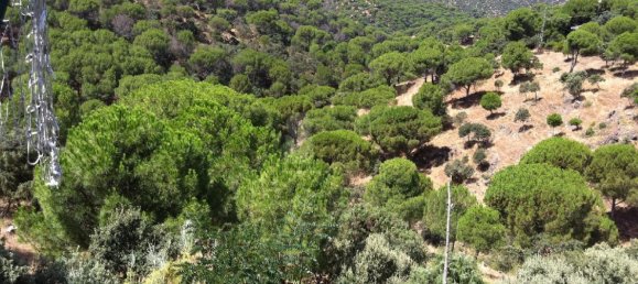 Земельный участок 1038м² в Навас-дель-Рей, Испания № 99865 15