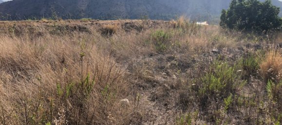  قطعة أرض في Bolulla, Spain رقم 103325 4