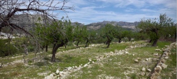  قطعة أرض في Bolulla, Spain رقم 103325 2