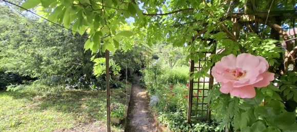 4 bedrooms Townhouse in Occitanie, France No. 284989 3