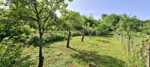 4 bedrooms Townhouse in Occitanie, France No. 284989 5