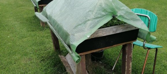 1 bedroom House in Altenkirchen, Germany No. 298320 14