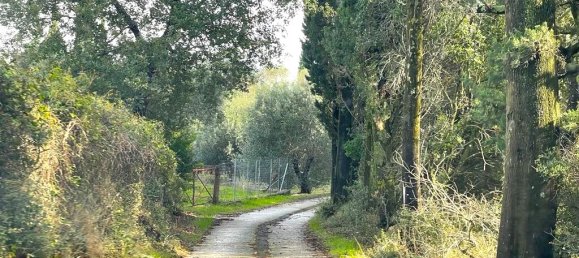 Hotel in Corfu, Greece 12000m², Nr. 2764 10