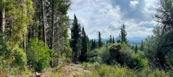 Hotel in Corfu, Greece 12000m², Nr. 2764 6