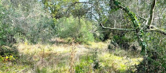 Hotel in Corfu, Greece 12000m², Nr. 2764 12