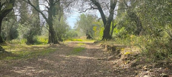 Hotel in Corfu, Greece 12000m², Nr. 2764 14