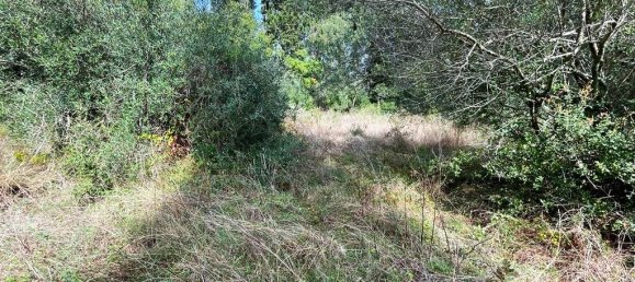 Hotel in Corfu, Greece 12000m², Nr. 2764 13