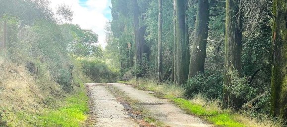 Hotel in Corfu, Greece 12000m², Nr. 2764 11