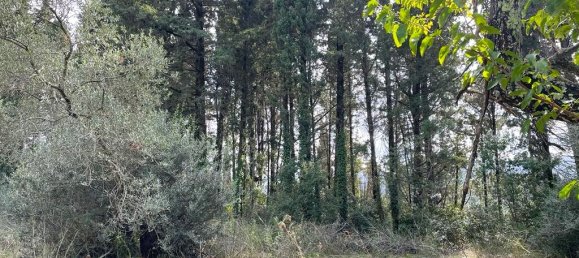 Hotel in Corfu, Greece 12000m², Nr. 2764 4