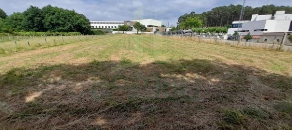 2340m² Land in Loivo, Portugal No. 50677 10