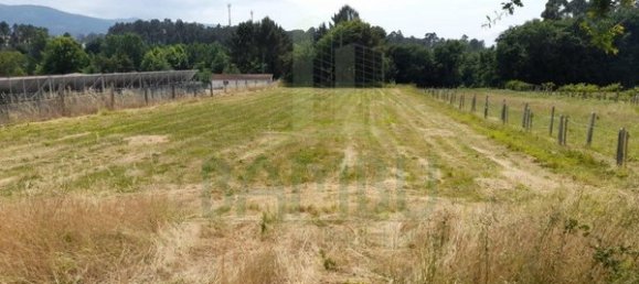 2340m² Land in Loivo, Portugal No. 50677 11