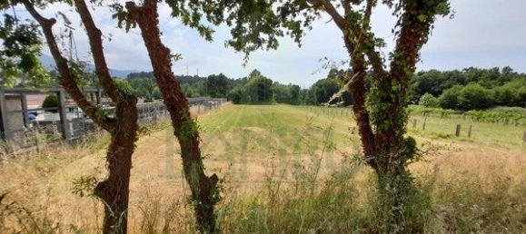 2340m² Land in Loivo, Portugal No. 50677 8