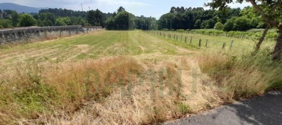 2340m² Land in Loivo, Portugal No. 50677 5