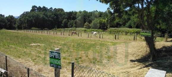 2340m² Land in Loivo, Portugal No. 50677 9