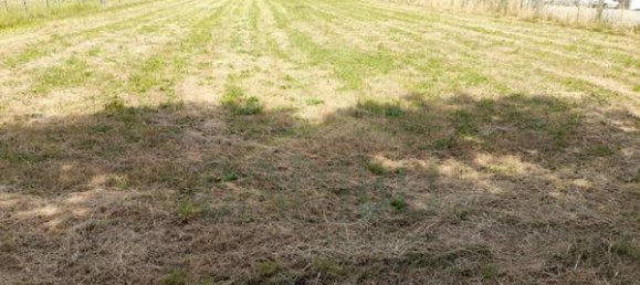 2340m² Land in Loivo, Portugal No. 50677 6