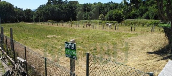 2340m² Land in Loivo, Portugal No. 50677 2