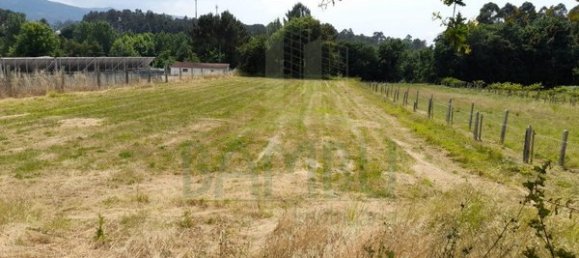 2340m² Land in Loivo, Portugal No. 50677 3