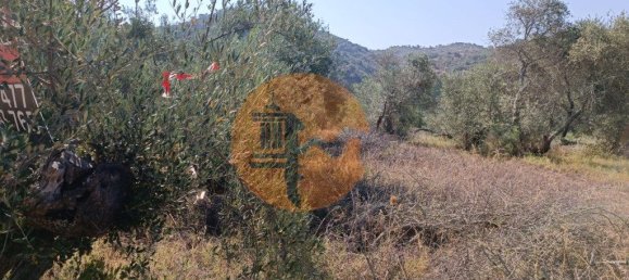 Terreno em Alcoutim, Portugal 760 m² N.º 32654 23