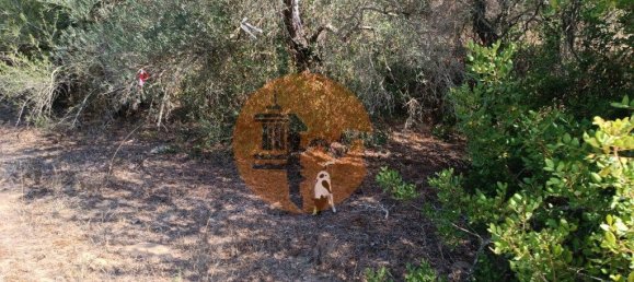 Terreno em Alcoutim, Portugal 760 m² N.º 32654 11