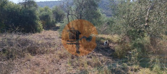 Terreno em Alcoutim, Portugal 760 m² N.º 32654 8