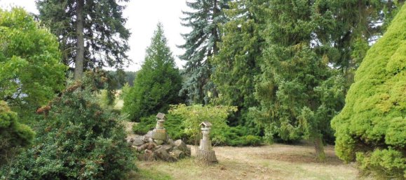 Grundstück in Wittenberg, Germany, Nr. 311745 8