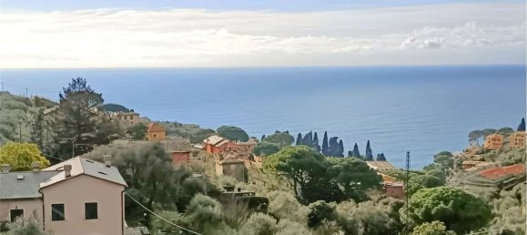 Apartamento de 15 habitaciónes en Camogli, Italy No. 187003 6