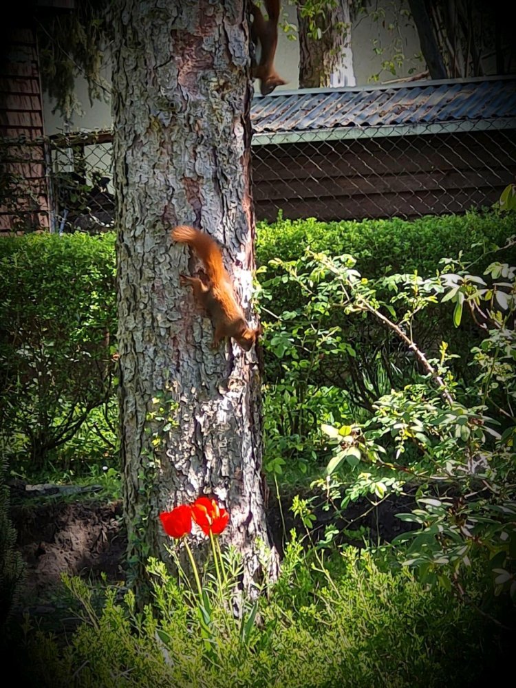 Grundstück in Nordsachsen, Germany, Nr. 318769