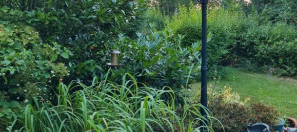 Grundstück in Nordsachsen, Germany, Nr. 318769 3