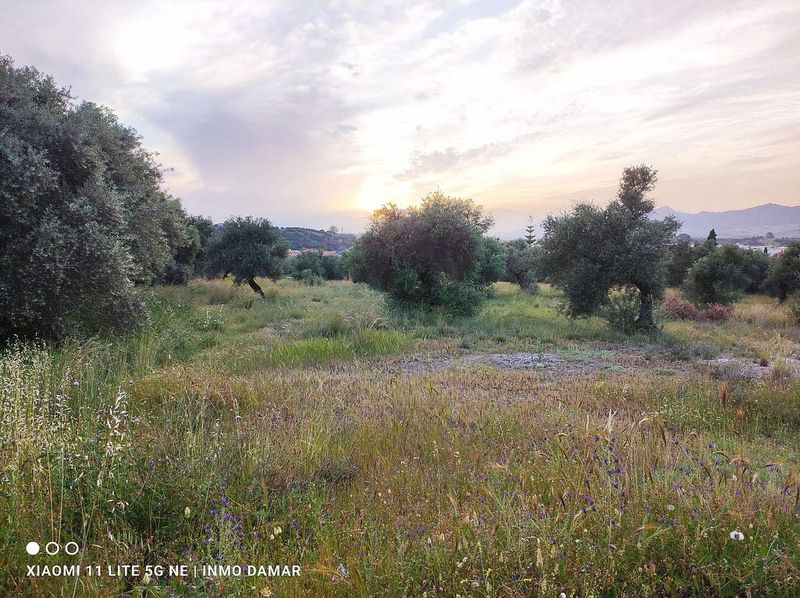 475m² Land in Alhaurin de la Torre, Spain No. 225119