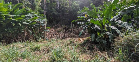 2591m² Hotel in Loubiere, Dominica No. 7 13