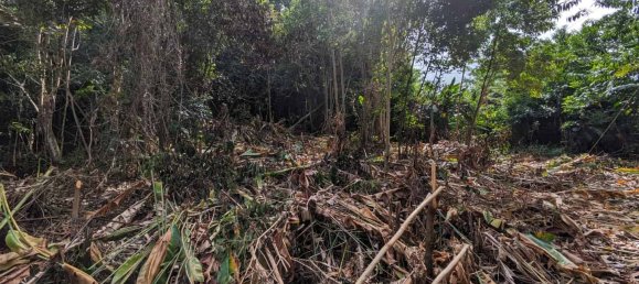 2591m² Hotel in Loubiere, Dominica No. 7 10