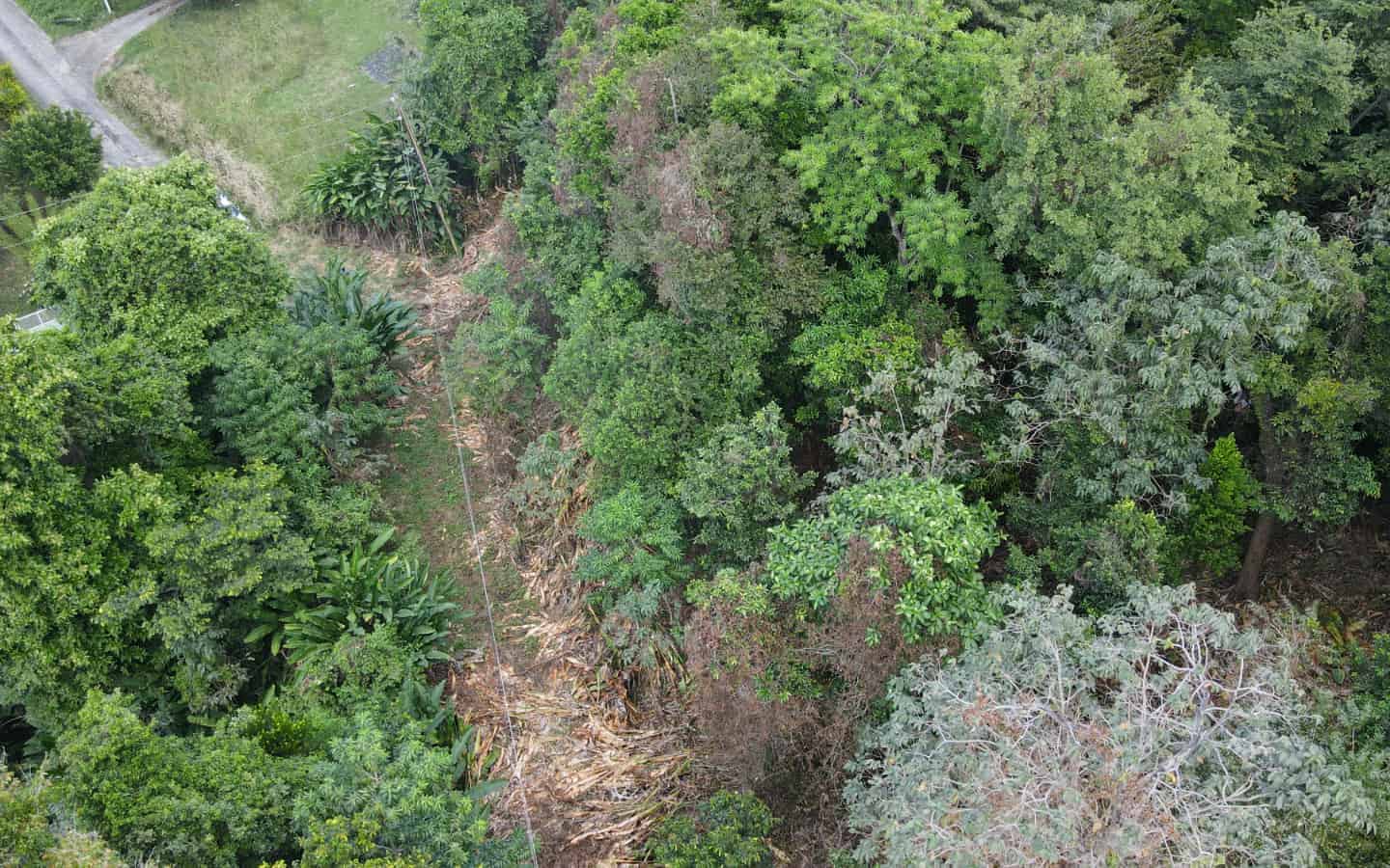 Hôtel à Loubiere, Dominica 2591m² No. 7