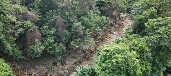 2591m² Hotel in Loubiere, Dominica No. 7 11