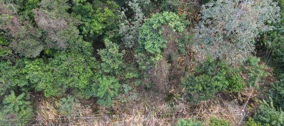 2591m² Hotel in Loubiere, Dominica No. 7 14