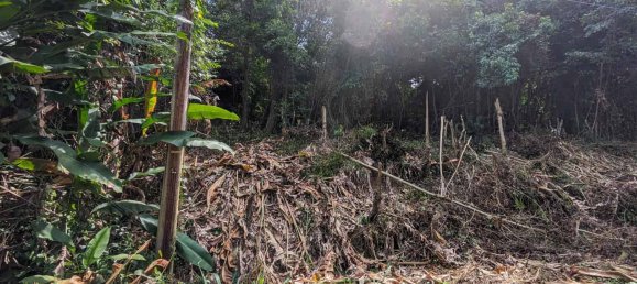 2591m² Hotel in Loubiere, Dominica No. 7 2