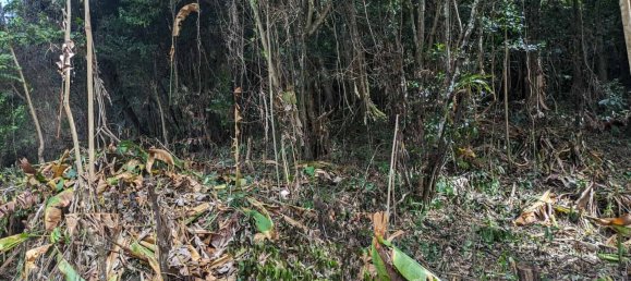 2591m² Hotel in Loubiere, Dominica No. 7 17