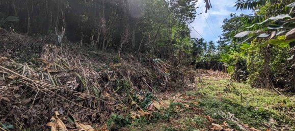 2591m² Hotel in Loubiere, Dominica No. 7 6