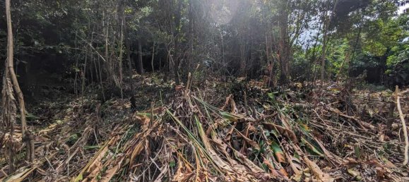 2591m² Hotel in Loubiere, Dominica No. 7 8