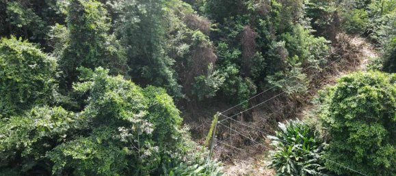 2591m² Hotel in Loubiere, Dominica No. 7 9