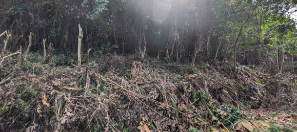 2591m² Hotel in Loubiere, Dominica No. 7 7