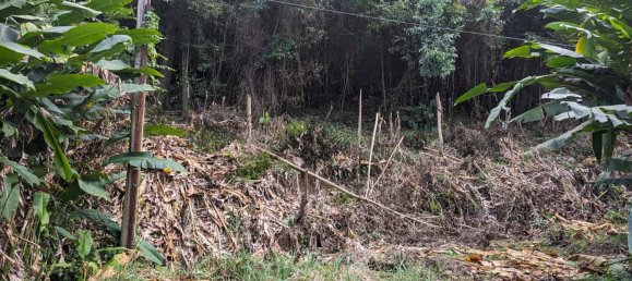 2591m² Hotel in Loubiere, Dominica No. 7 15