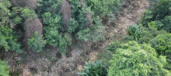 2591m² Hotel in Loubiere, Dominica No. 7 19