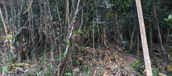 2591m² Hotel in Loubiere, Dominica No. 7 18