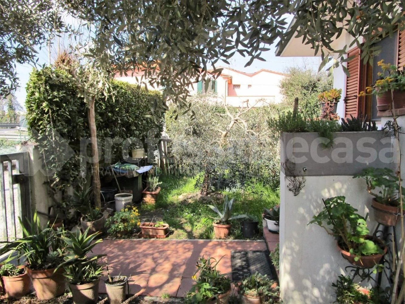 5 rooms House in San Giuliano Terme, Italy No. 57183