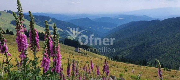  Land in Koflach, Austria No. 28389 8